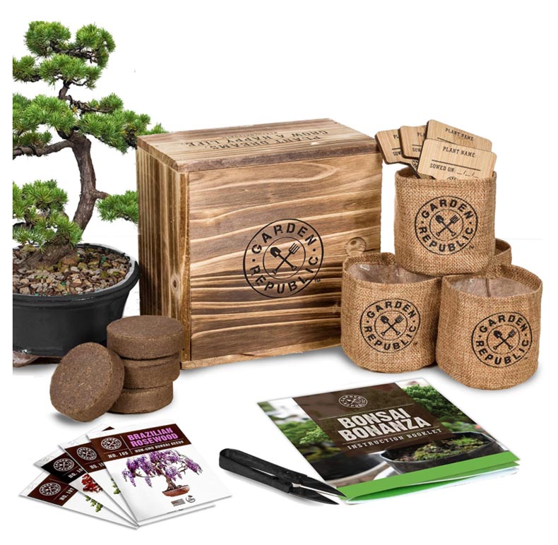 Bonsai Tree Kit