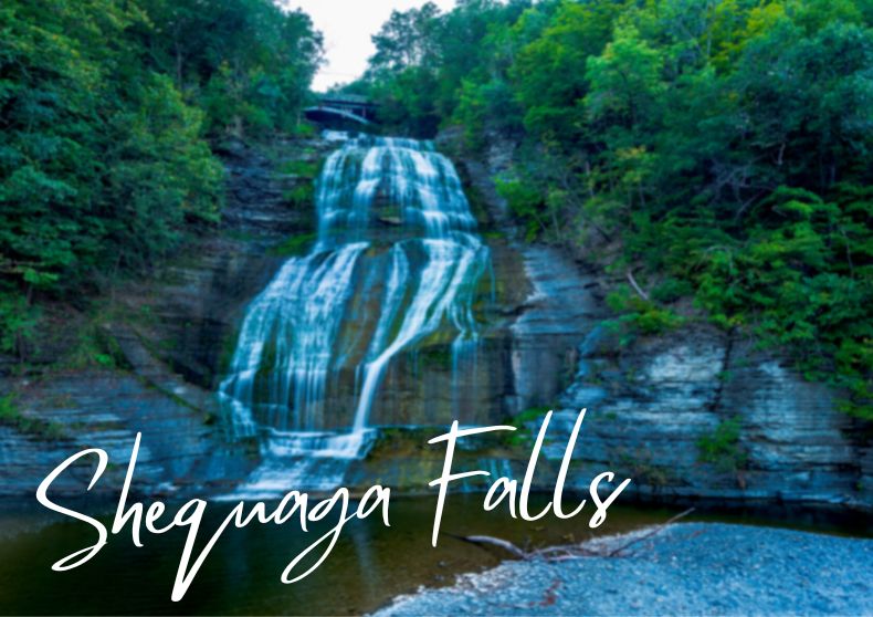 Shequaga Falls Finger Lakes