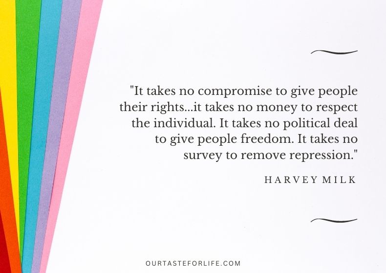 Pride Quote Harvey Milk